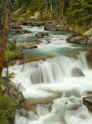 Nigel Creek Cascade - Banff NP - Canada