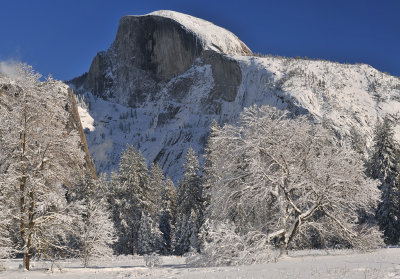 CA - Yosemite NP - HalfDome Sunny Snowscape
