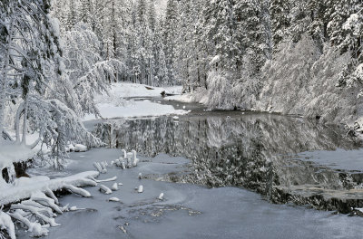 CA - Yosemite NP - Icy Merced River 4