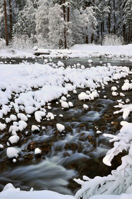 CA - Yosemite NP - Merced River Rapids 2