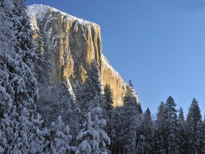 CA - Yosemite NP - Sunny El Capitan Snowy Trees