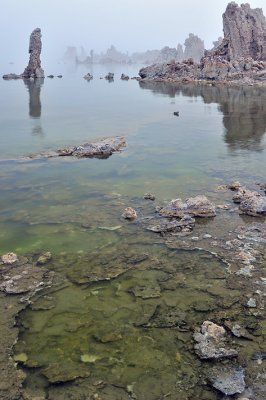 CA - Mono Lake - Foggy Green Waters