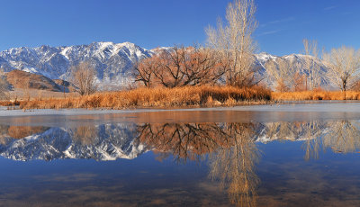 CA - Bishop - Mill Pond
