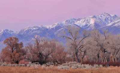 CA - Bishop - White Mountain Sunset Alpenglow
