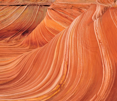 Coyote Buttes North - The Wave