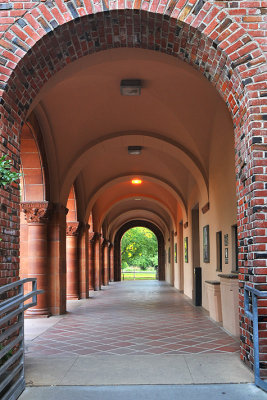 CSU Chico Campus 11