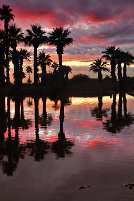 Papago Park - Sunset Reflection