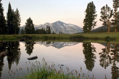 Yosemite NP - Dana Meadows 2