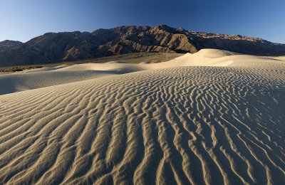 CA - Death Valley - Mesquite Flat Dunes 5