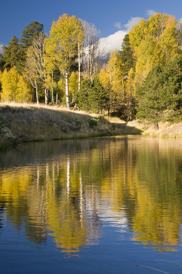 Flagstaff - Locketts Meadow Pond 2