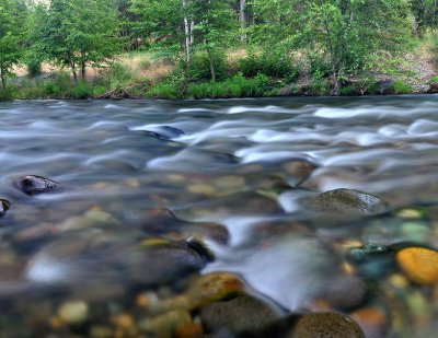 Chico - Honey Run Creek 3