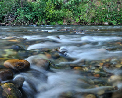 Chico - Honey Run Creek 4