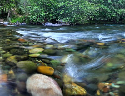 Chico - Honey Run Creek 7