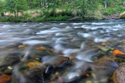 Chico - Honey Run Creek 8