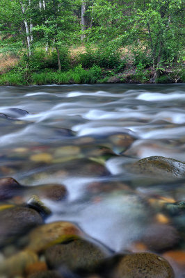 Chico - Honey Run Creek 9