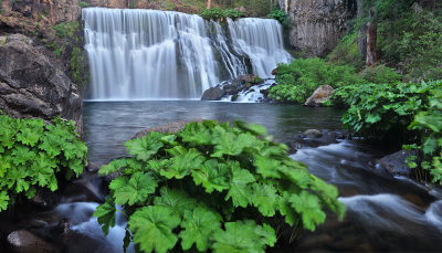 Shasta - McCloud River Middle Falls 1