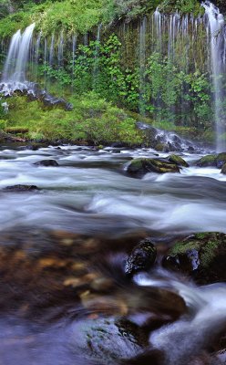 Shasta - Mossbrae Falls 10