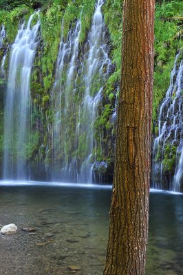 Shasta - Mossbrae Falls 11