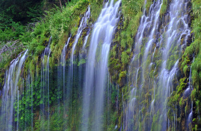Shasta - Mossbrae Falls 12