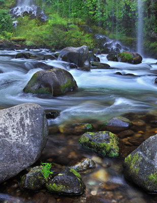 Shasta - Mossbrae Falls 8