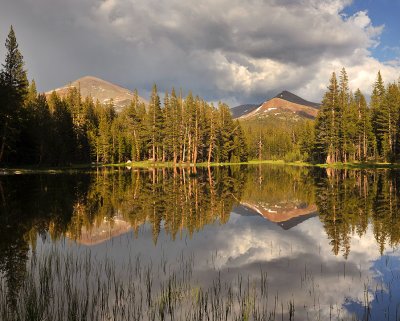 Yosemite NP - Late Afternoon Light 1