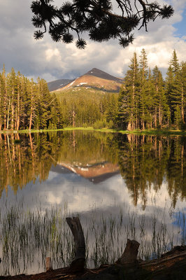 Yosemite NP - Late Afternoon Light 2