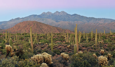 AZ - Four Peaks - Earths Shadow 1
