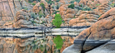 AZ - Watson Lake - Reflection 4