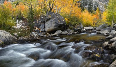 CA - Bishop Creek - Middle Fork 3