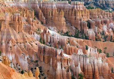 UT - Bryce Canyon National Park - Sunrise Pt 2
