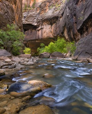UT - Zion NP - Narrows 11