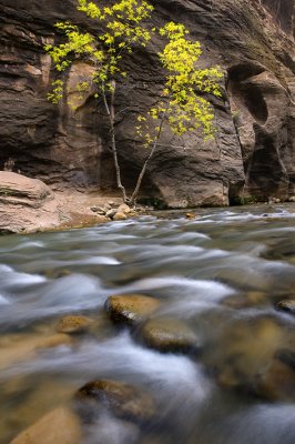 UT - Zion NP - Narrows 2