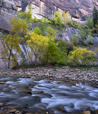 UT - Zion NP - Narrows 26