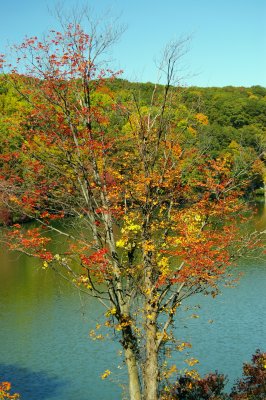 Fall-2008 has started.****Best viewed in large****