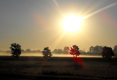 The fog on the field at 0732hrs.jpg