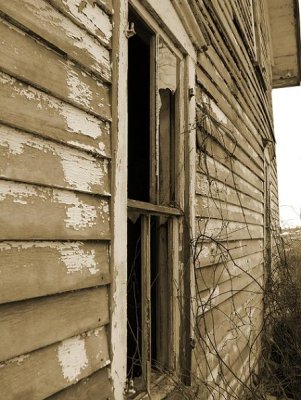 The Broken Window and the Vines-SM.JPG