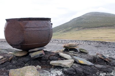 Cooking pot to produce Penguin oil - Kookpot om Pingunolie te produceren