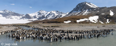 Landscape of St. Andrews Bay