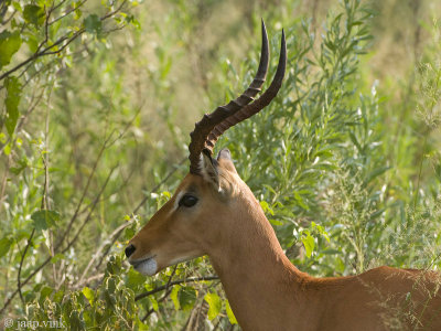 g1/39/890439/3/146659392.WHcwrSoK.jpg