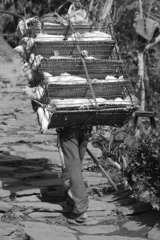 Take away