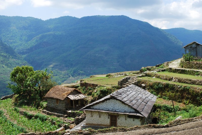 Home in the hiils 2