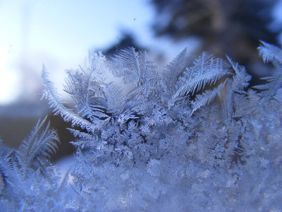 frost on window (5).JPG