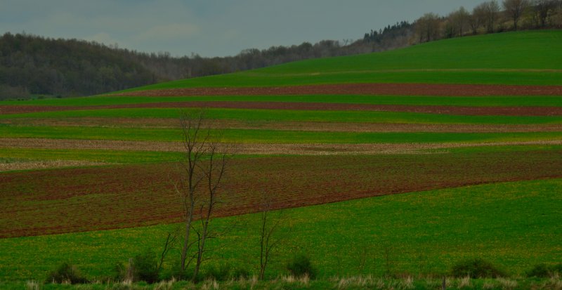 Countryside