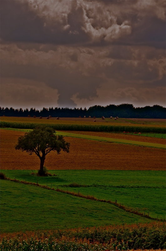 Luxembourg - 2010