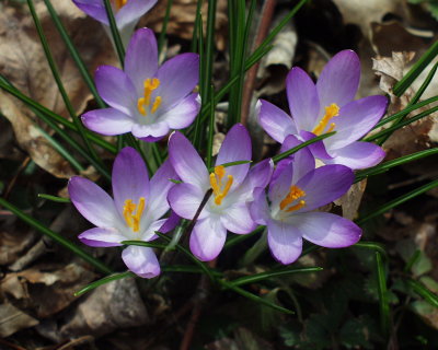 g1/39/911339/3/112874571.EI5Fsv4H.jpg
