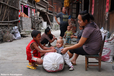 Miao family