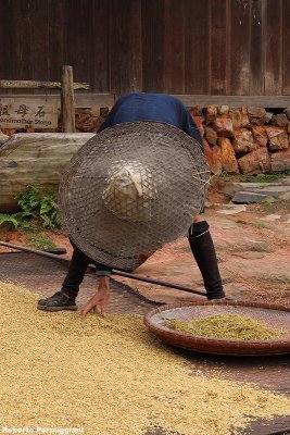 Old farmer