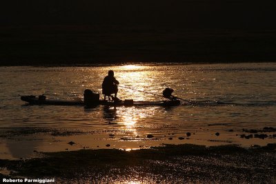 Golden water