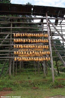 Modern art?
