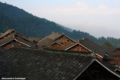 Roofs